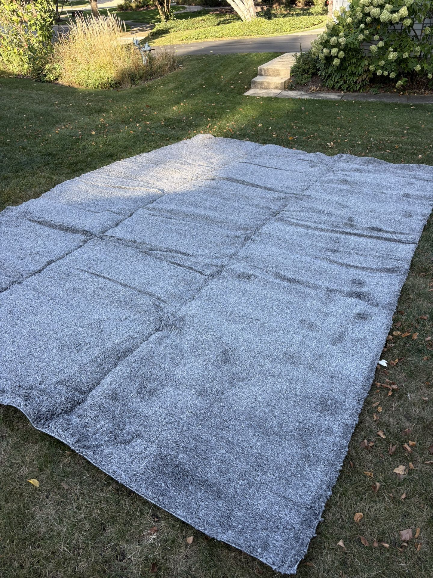 Large Area Rug