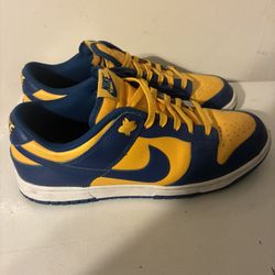 ucla dunks 