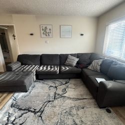 Free Sectional Couch 