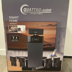 Quattro Audio Model #A8-1 - Smart home Sound System