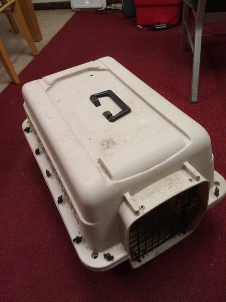 Plastic Bargain Hound - Cat Case