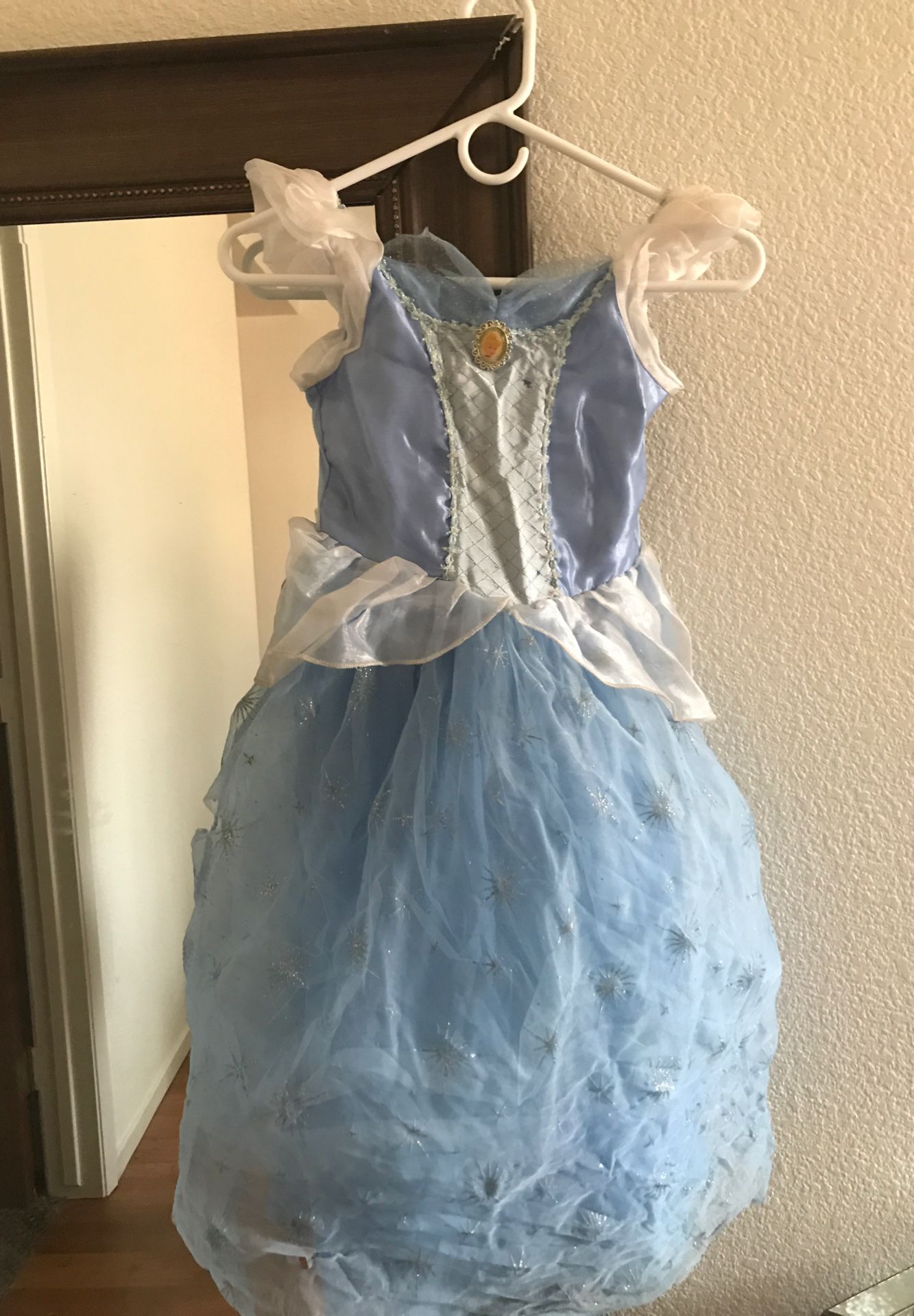 Cinderella princess dress