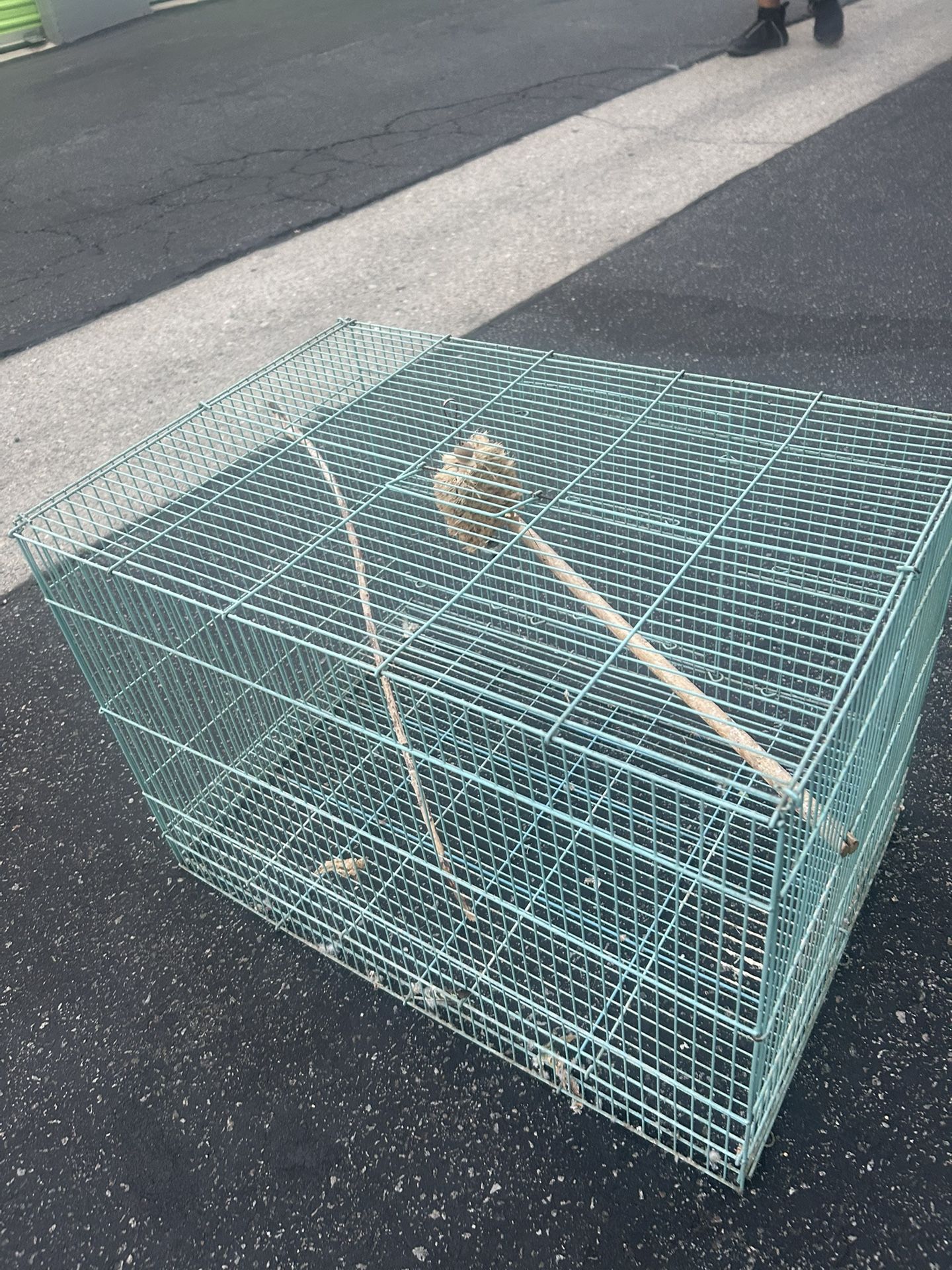 Bird Cage