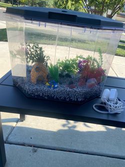 Fish Tank & Filtration