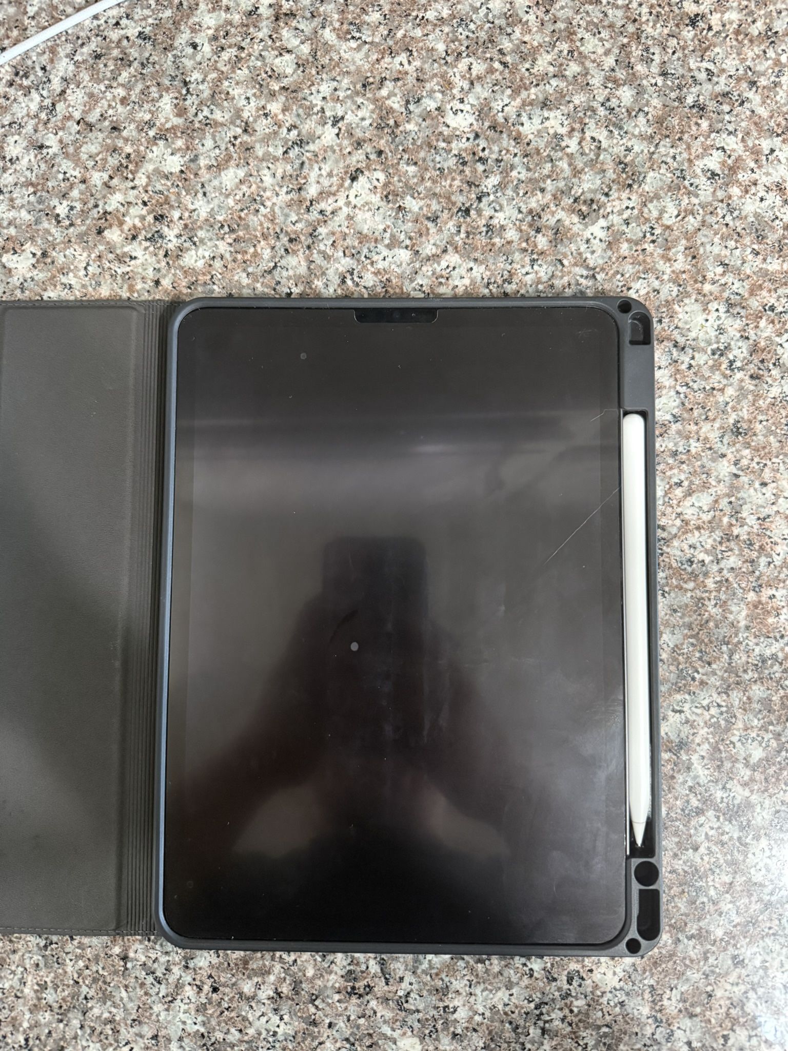 iPad Pro M1 Chip With Apple Pencil
