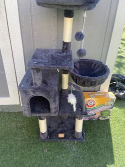 casita d gatos