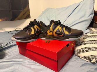 Kobe 5 Protro Year of the Mamba Eggplant
