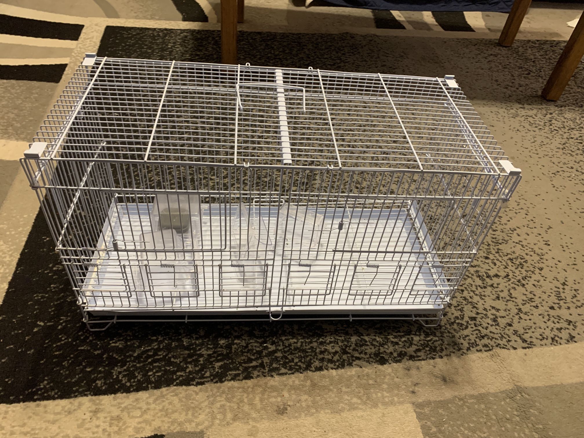 Birds Cage