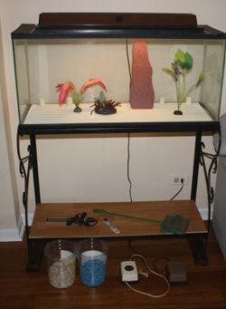 30 gallon aquarium fish tank with stand and many accessories - $80 (Palatine area)
