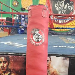 Kickboxing Punching Bag 