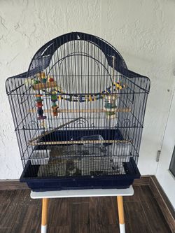 Cage Parrot