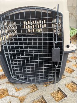 Pet cage