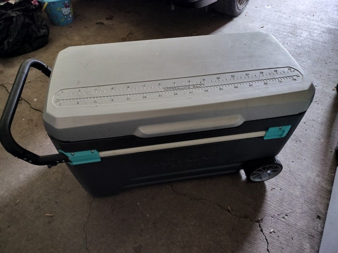 Igloo Cooler