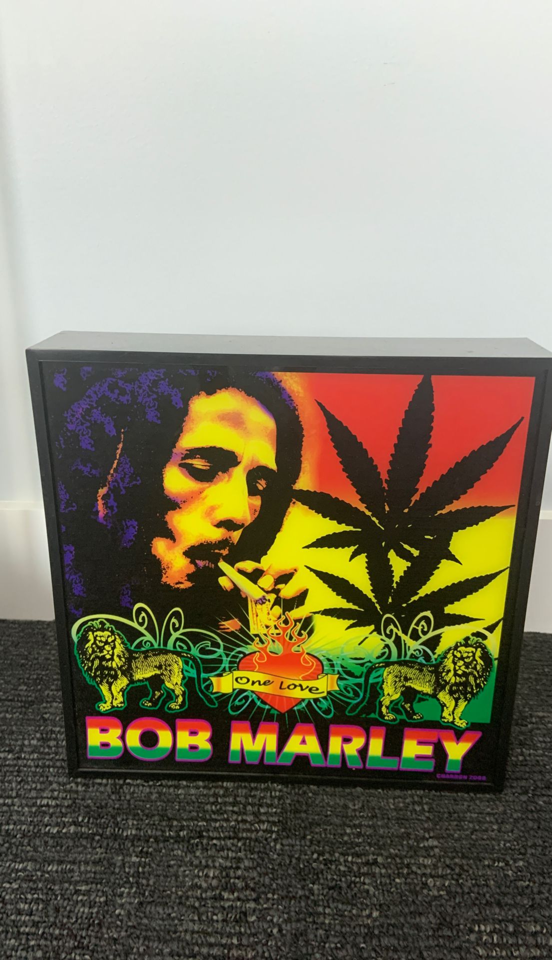 Bob Marley light