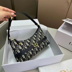 Dior 30 Montaigne Mini Dumpling Bag