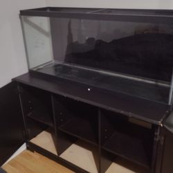 Tank Enclosure + Cabinet