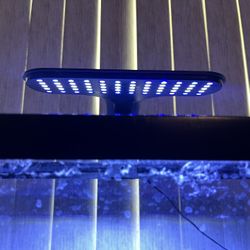 Coralife Marine Aquarium Clip-On LED Light (Read Description)