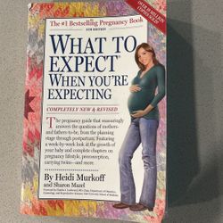 What To Expect When You’re Expecting Book