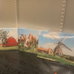 Wall Frame Art Picture 