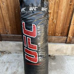 UFC Bag 100lb