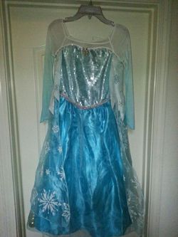 Disney Princess Elsa costume from Frozen