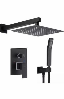 Boyel Living Rbrohant 10" High Pressure Dual/Hand Held Shower in Black RB0711