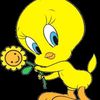 Isel