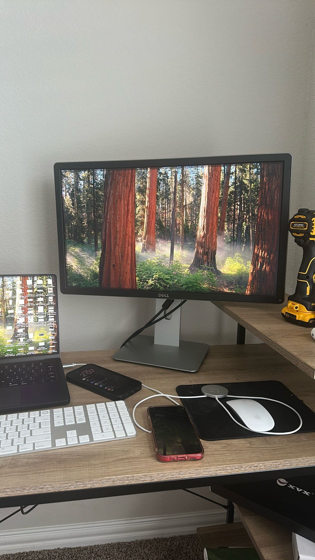 Dell Computer Monitor