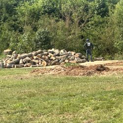 FREE FIREWOOD!!!