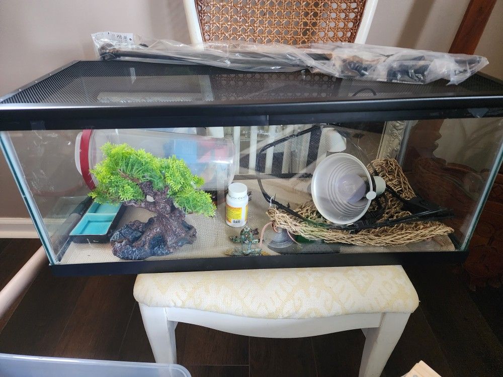 Reptile Habitat
