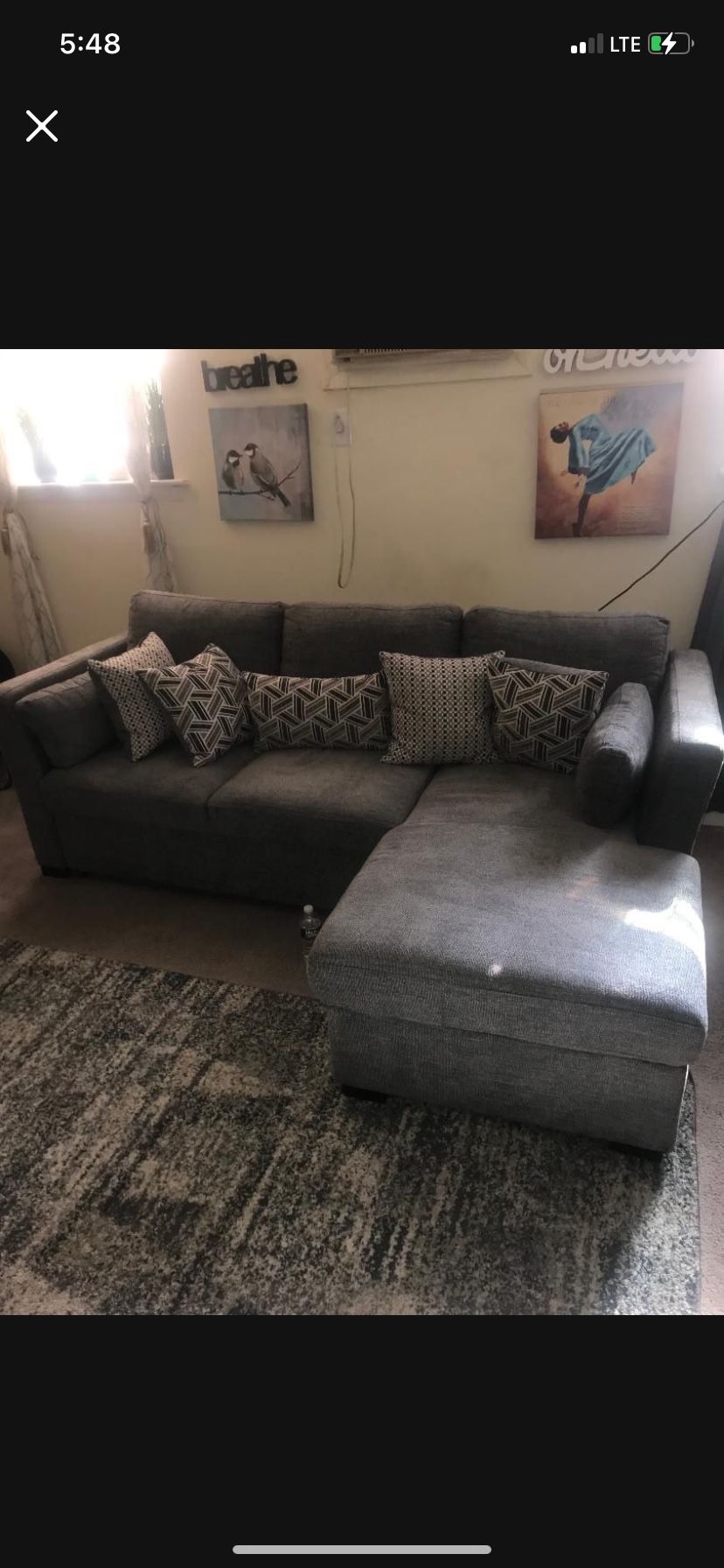 Sectional Pullout Couch With Pillows 