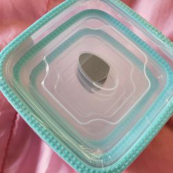New Food Storage Containers 