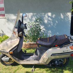 1985 Honda Elite 250