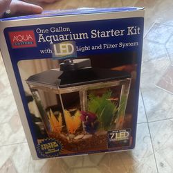 One gallon aquarium starter kit