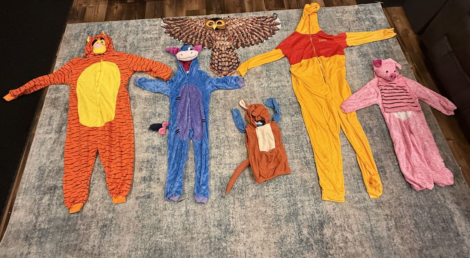 Winnie The Pooh Family Costumes/ Halloween
