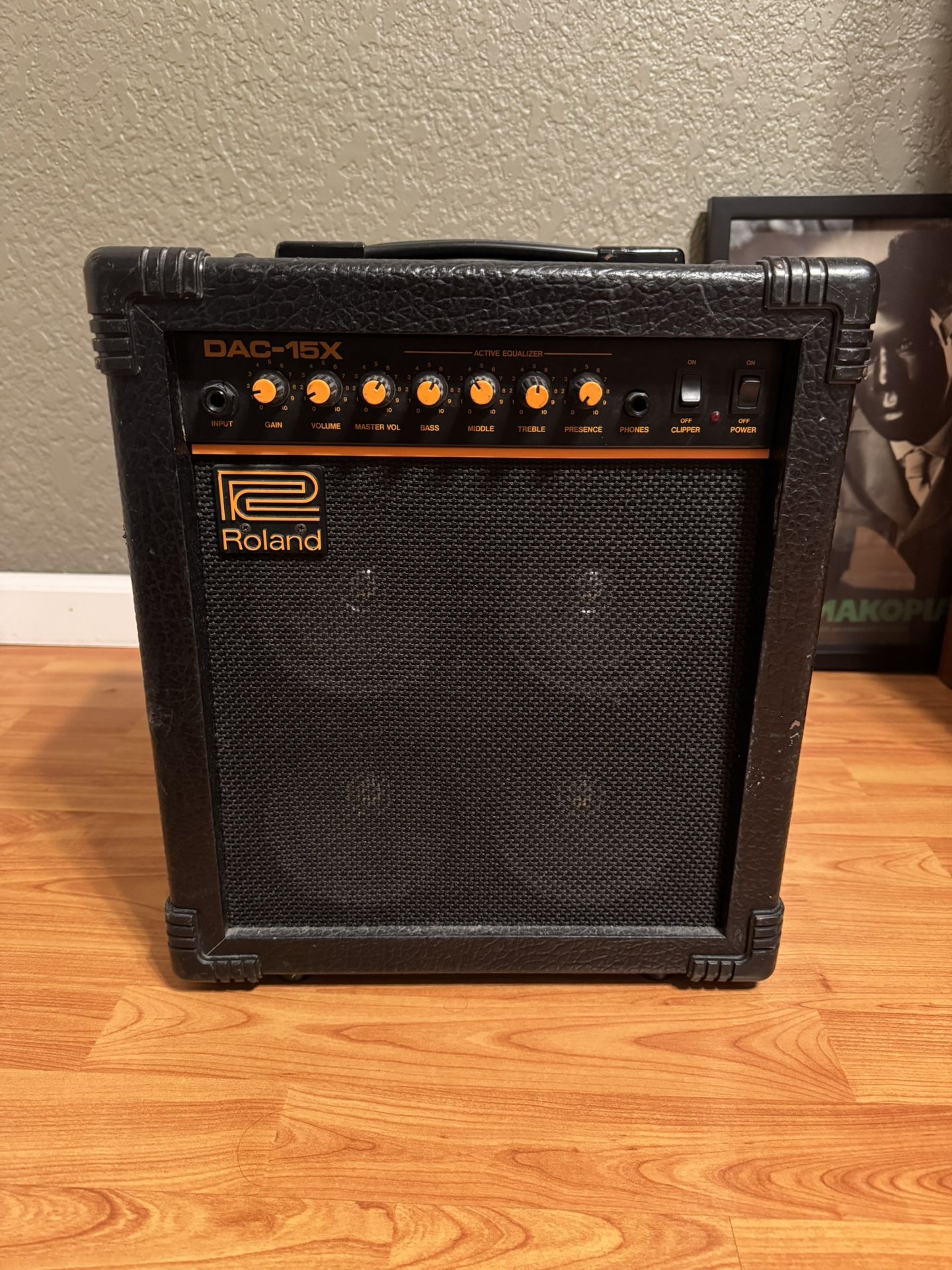 Roland DAC-15x amplifier