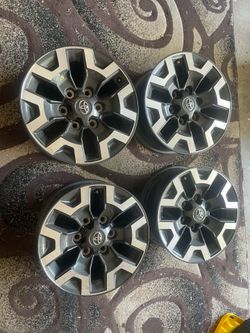 Rims 16”