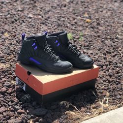 dark concord 12 price