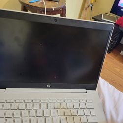 Hp chrome book 