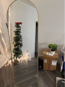 Gold frame full length mirror