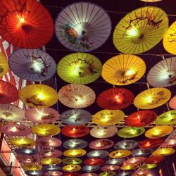 Oriental Umbrellas 