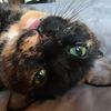 Amber
