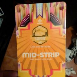 EDC LV 2025 Shuttle Pass *IN HAND*