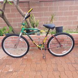 Beach Cruiser 