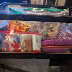 Betta Tank With Extras!