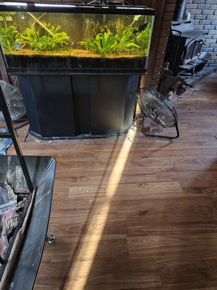 50 G Plant Fish Tank