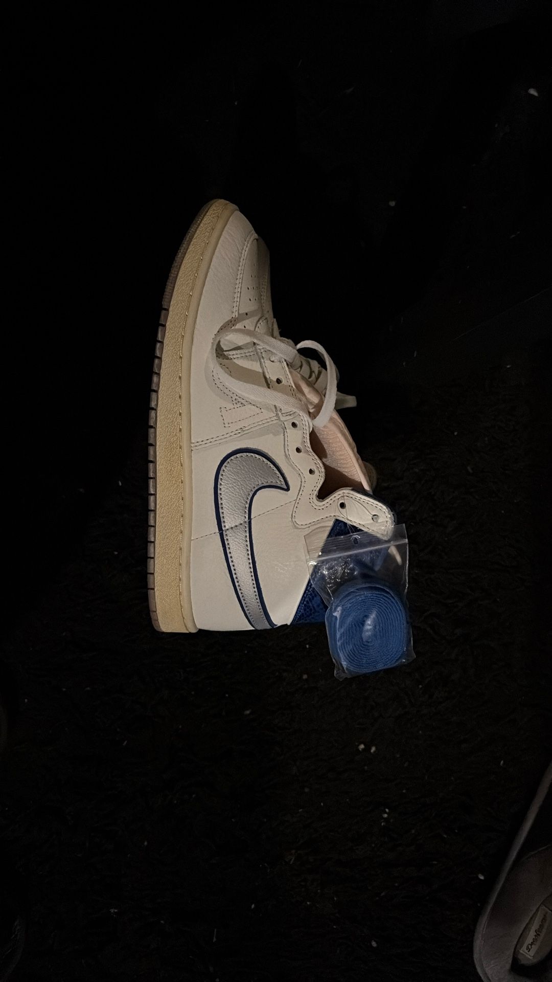 Air Jordan 1 Awake