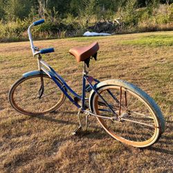 Beautiful Burning Man Cruiser Bike