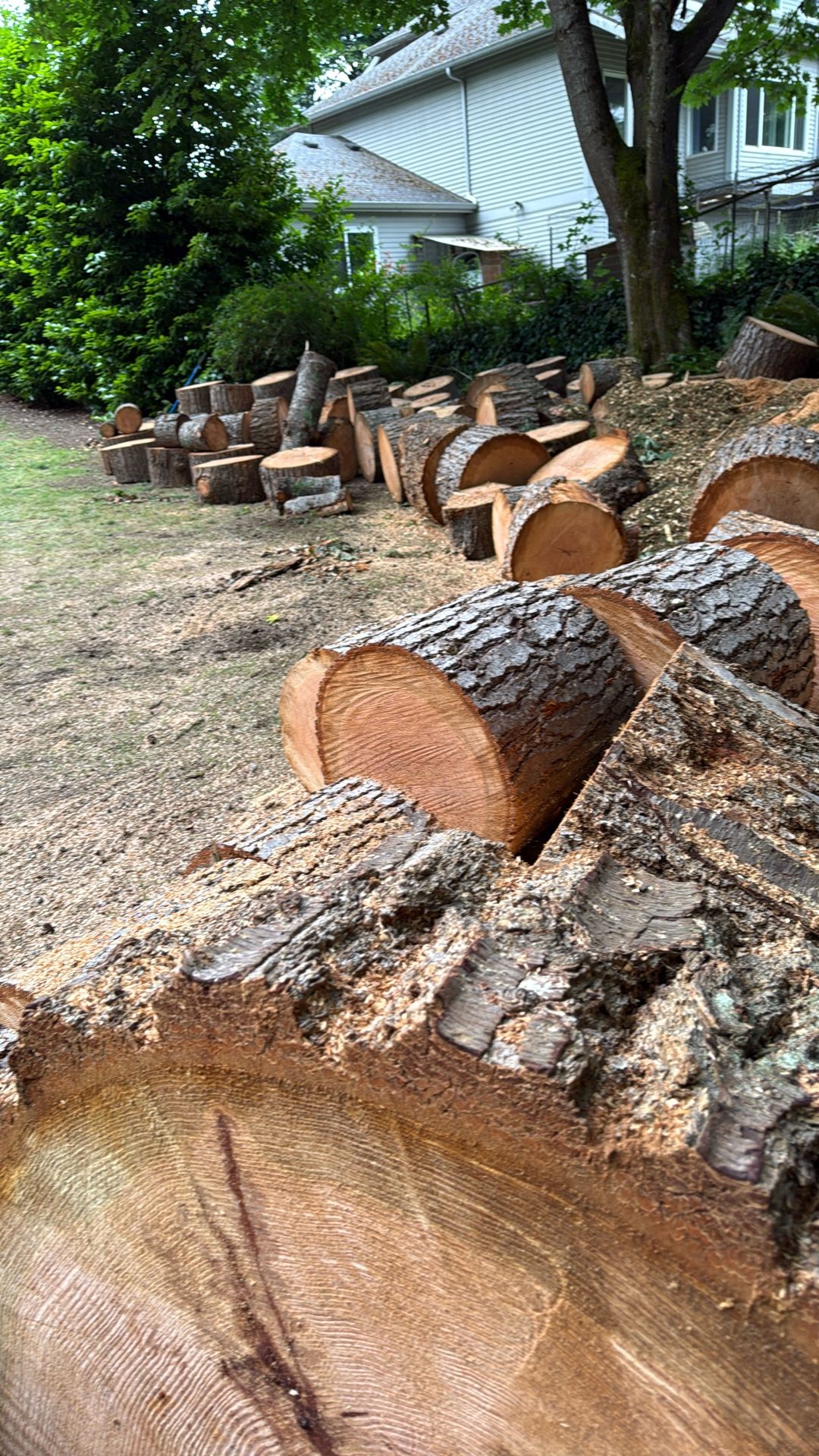 Wood Rounds