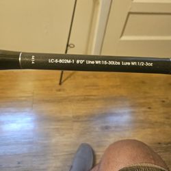 8ft Surf Spinning Rod 